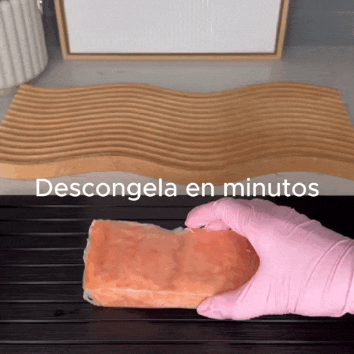 BANDEJA DESCONGELACIÓN RÁPIDA