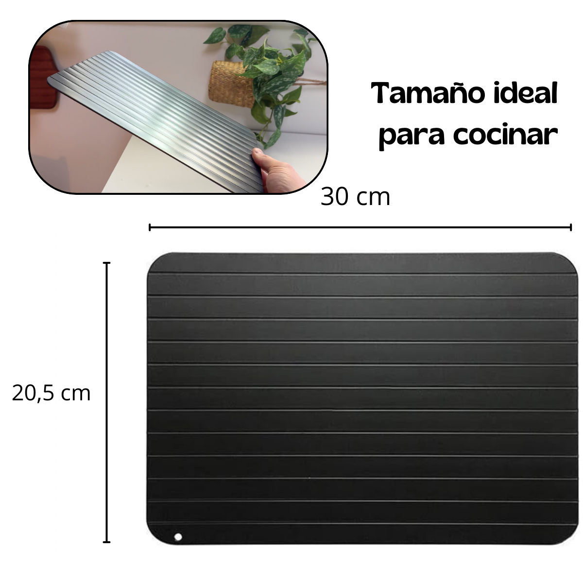 BANDEJA DESCONGELACIÓN RÁPIDA